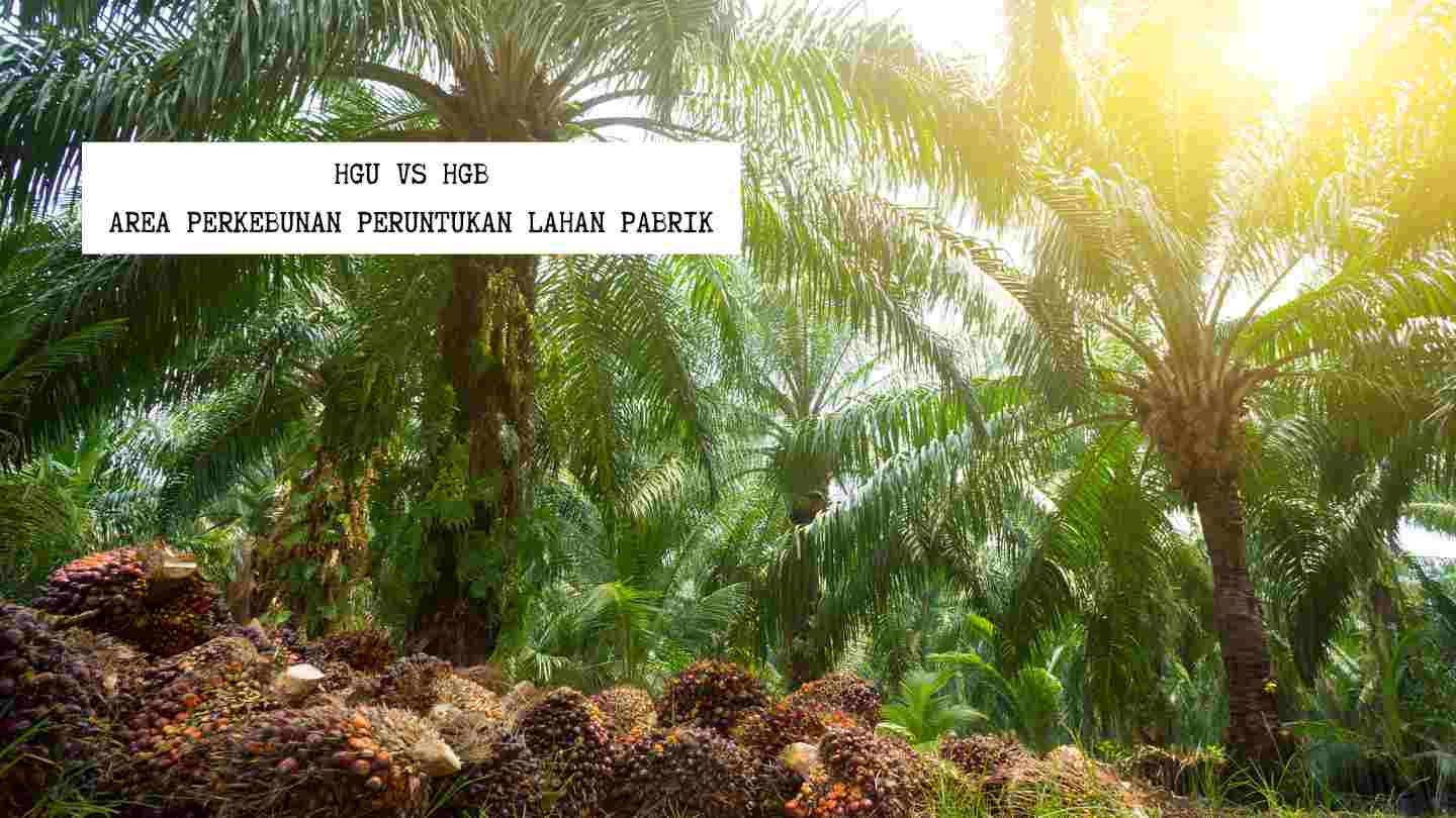 hgu-vs-hgb-area-perkebunan-peruntukan-lahan-pabrik