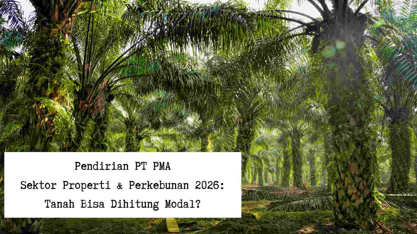 pendirian-pt-pma-properti-perkebunan-tanah-dihitung-modal