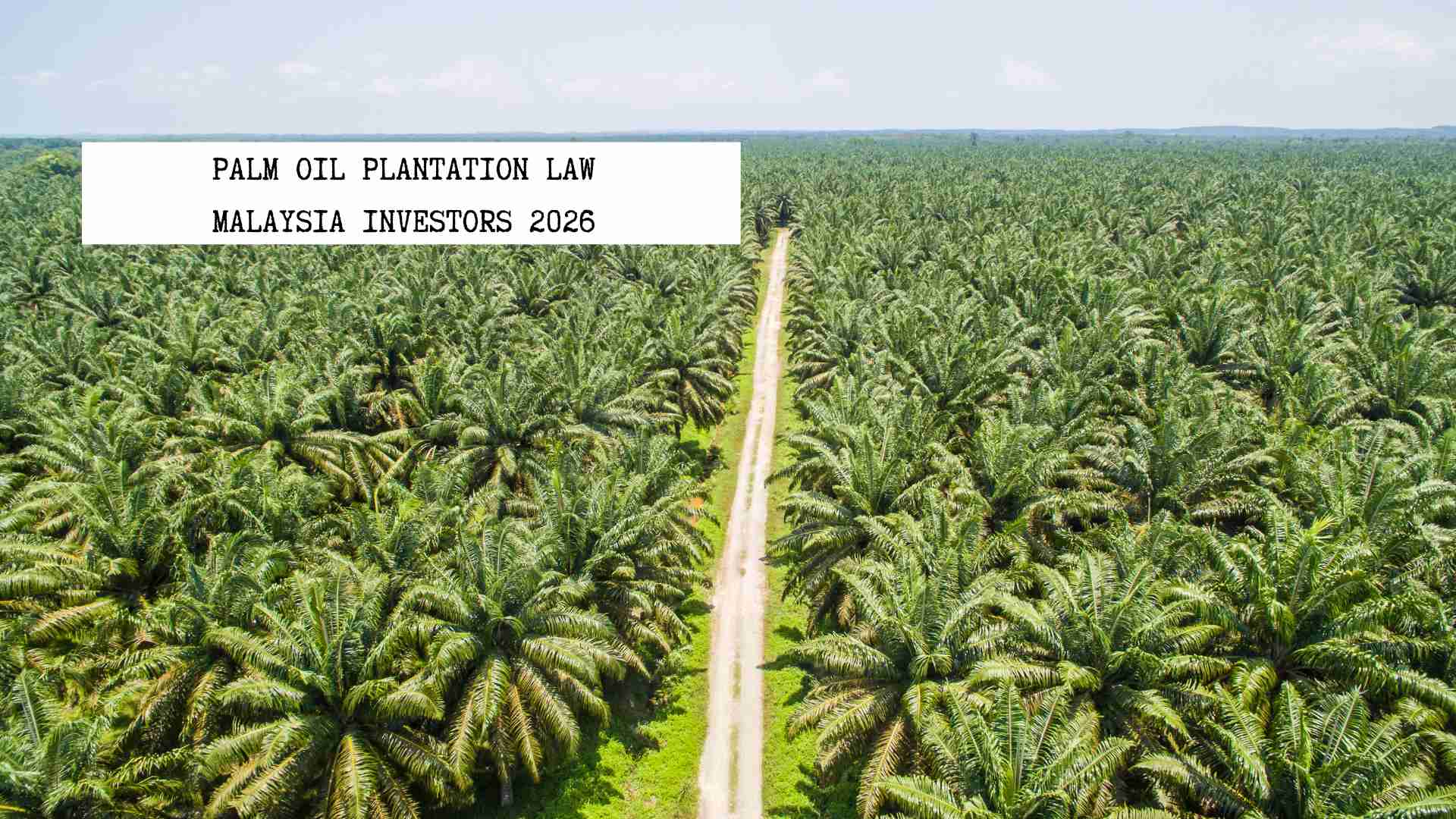 palm-oil-plantation-law-malaysia-investors-2026